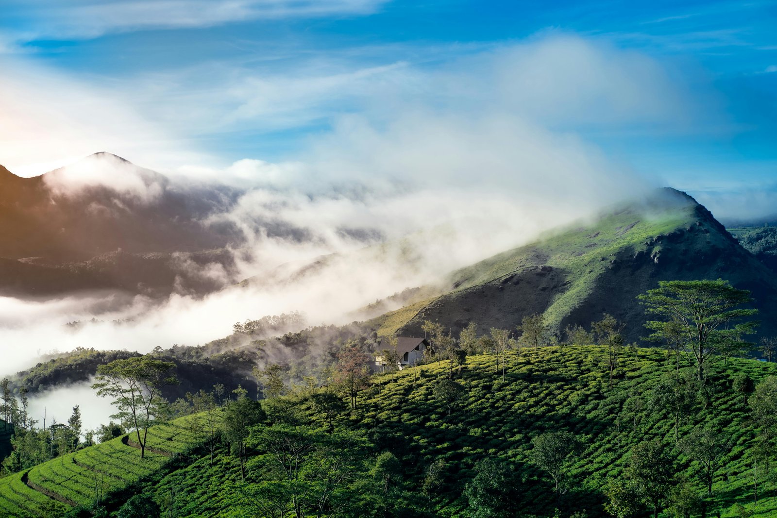 Vagamon Trip